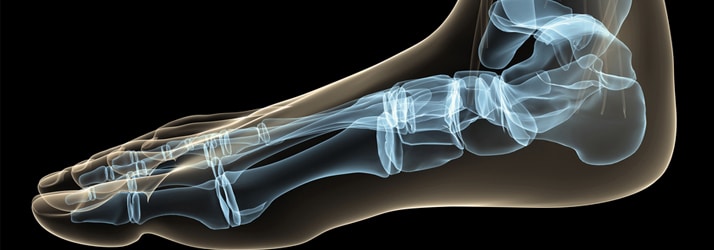 Chiropractic Rochester Hills MI x-ray Chiropractic Rochester Hills MI x-ray